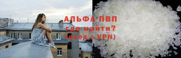 прущие грибы Алзамай