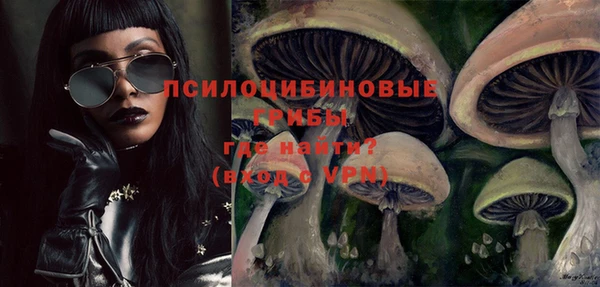 прущие грибы Алзамай