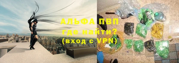 прущие грибы Алзамай
