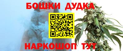 гидра Дубна