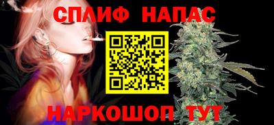 гидра Дубна