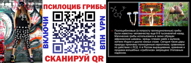 гидра ссылки  Десногорск  darknet Telegram  наркота  Галлюциногенные грибы GOLDEN TEACHER 