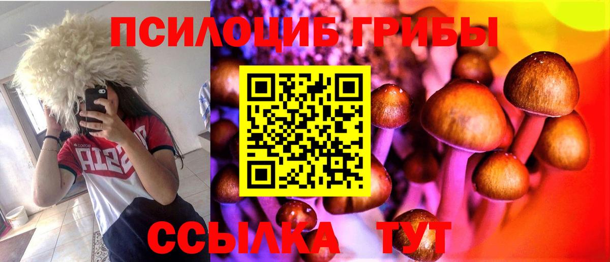 Галлюциногенные грибы Psilocybe  Псилоцибиновые грибы мухоморы  Десногорск  Вход с VPN 