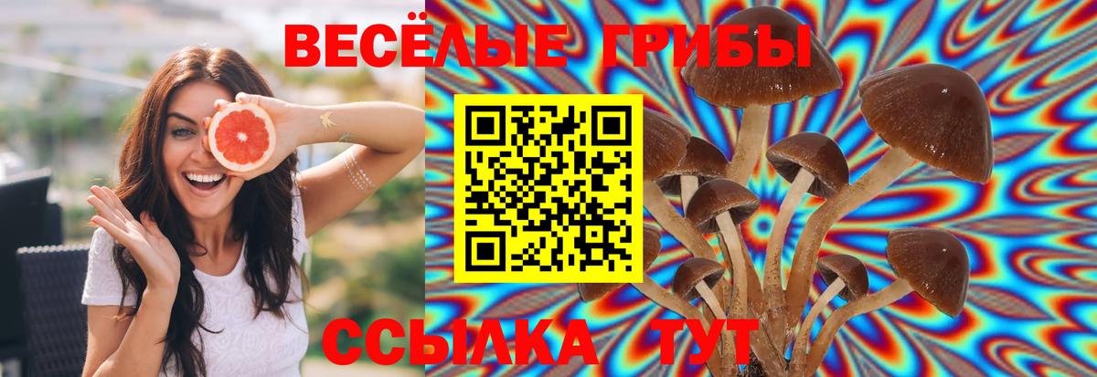 Галлюциногенные грибы Cubensis Десногорск